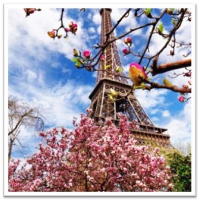 paris-printemps-cadre