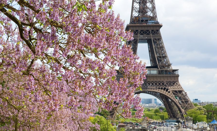 Paris Redox 2023 will be held in June