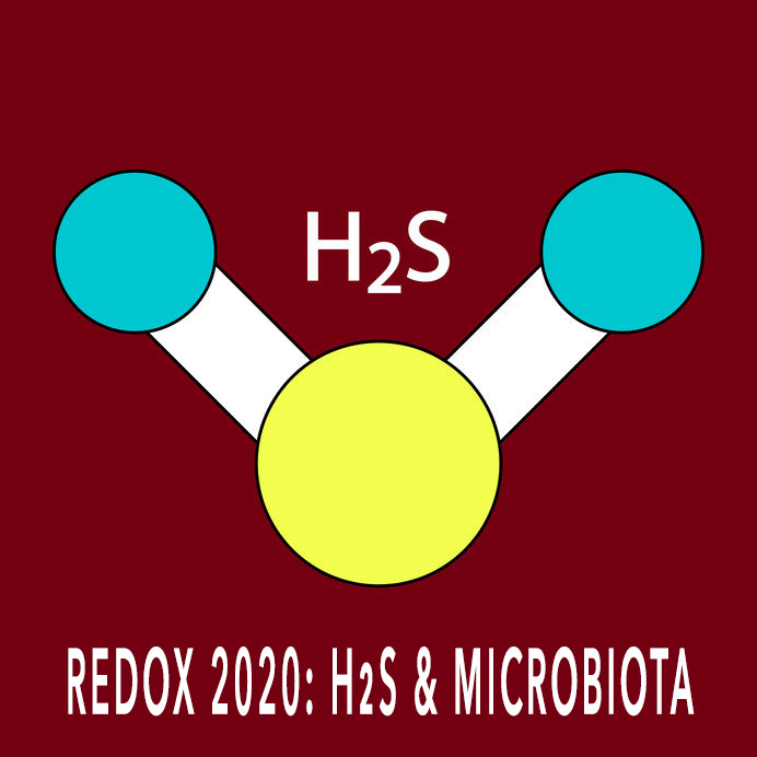 h2s-and-Microbiota