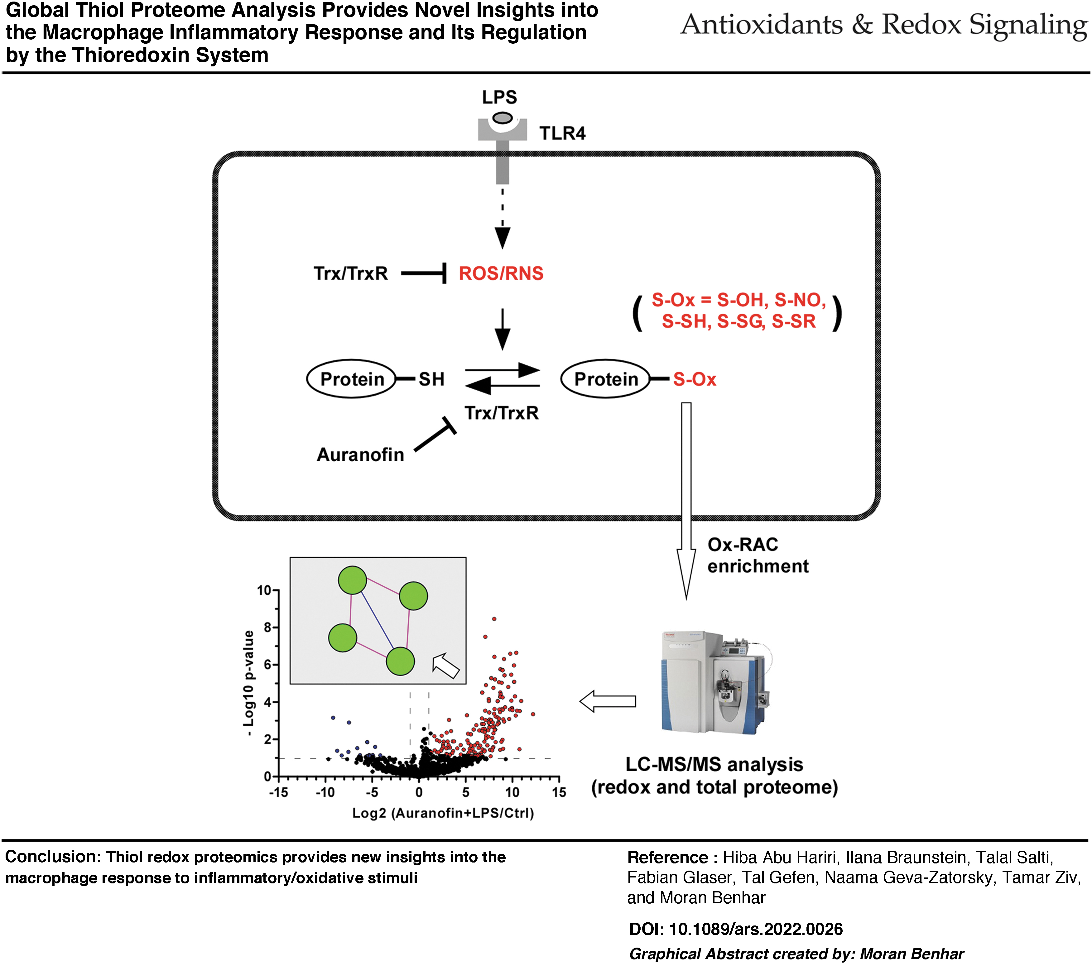 Global Thiol Proteome Analysis Provides Novel Insights into the Macrophage Inflammatory Response and Its Regulation by the Thioredoxin System