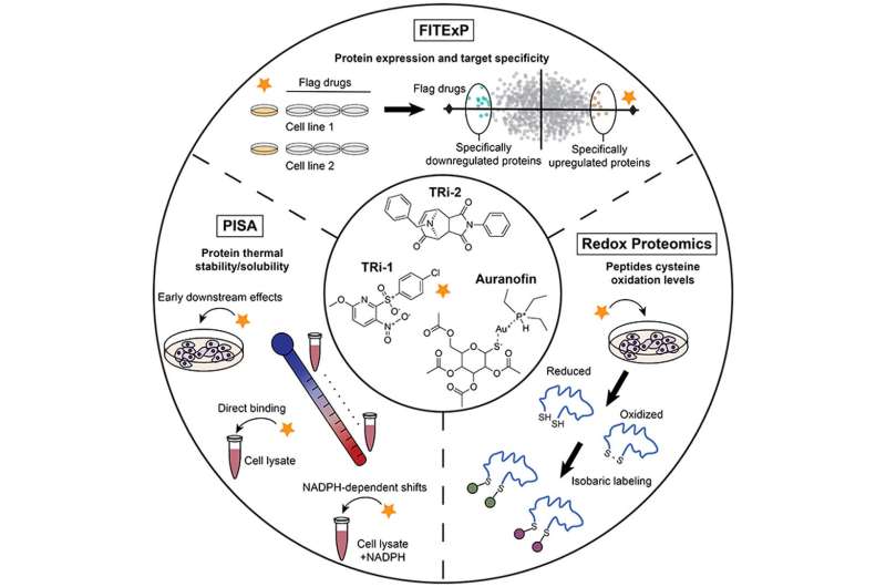 TRi-1 and TRi-2 compounds are more specific thioredoxin reductase 1 inhibitors than auranofin