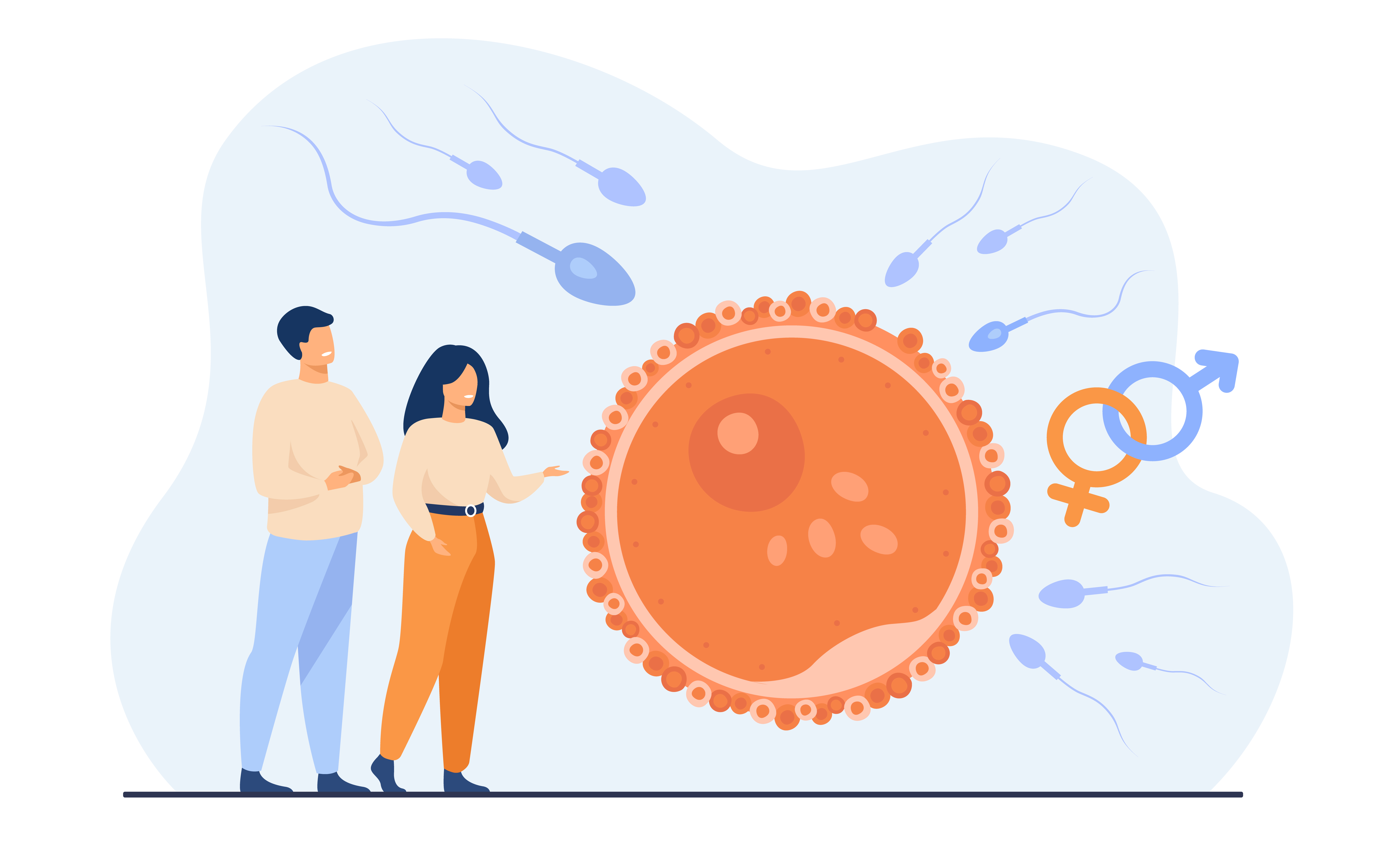 redox and germline stemcells