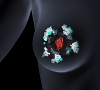 Copper a clue in the fight against cancer