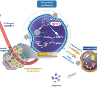 A Neutrophil-Biomimic Platform that Eradicates Metastatic Breast Cancer Stem-like Cells by Redox Modulation