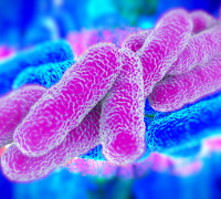 The Significance of a Butyrate-Rich Diet in Behçet's Syndrome