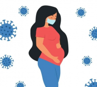 Placental Anti-Oxidant Response in COVID-19 Pregnancies