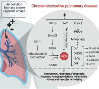 Redox Signaling at the Crossroads of Human Health & Disease