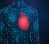 Vascular Aging & Oxidative Stress are Associated with Testosterone Levels in Men