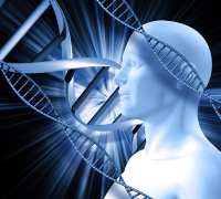 Aging and Lifespan Extension: Insights into Fundamental Molecular Mechanisms 
